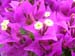 DSCN1387